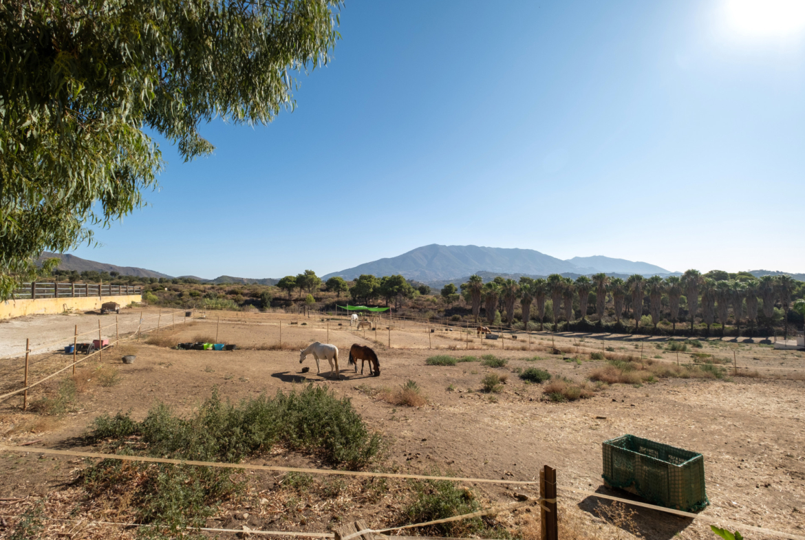 Property 1042-00007P