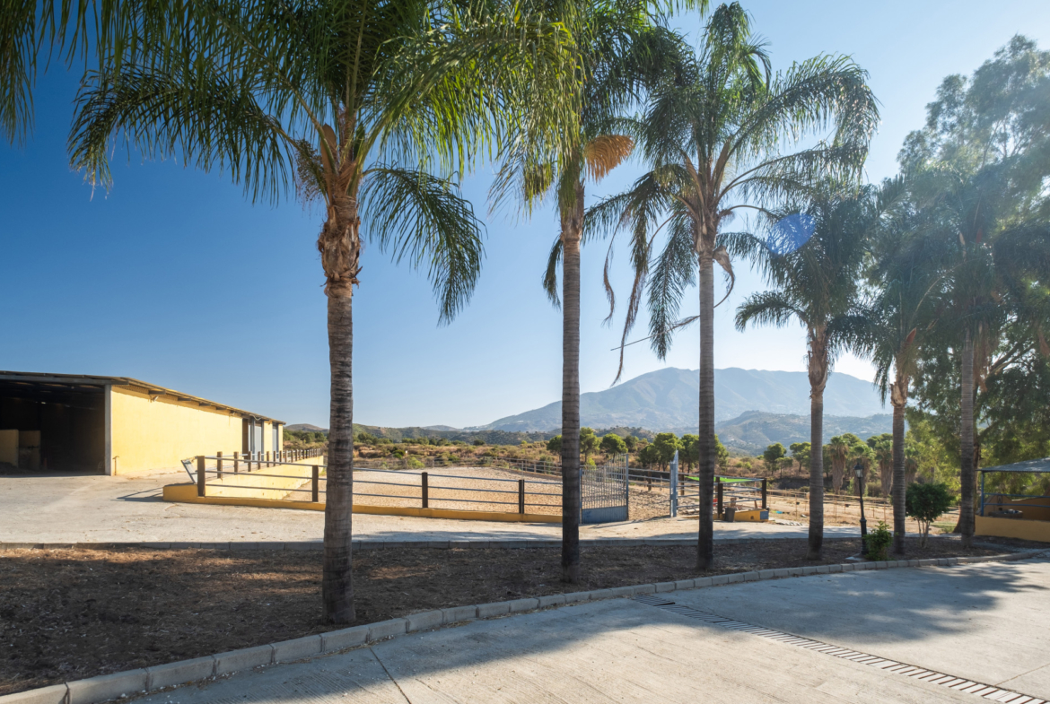 Property 1042-00007P