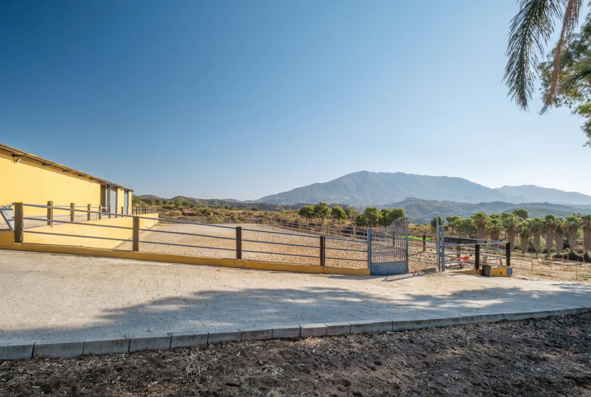Property 1042-00007P