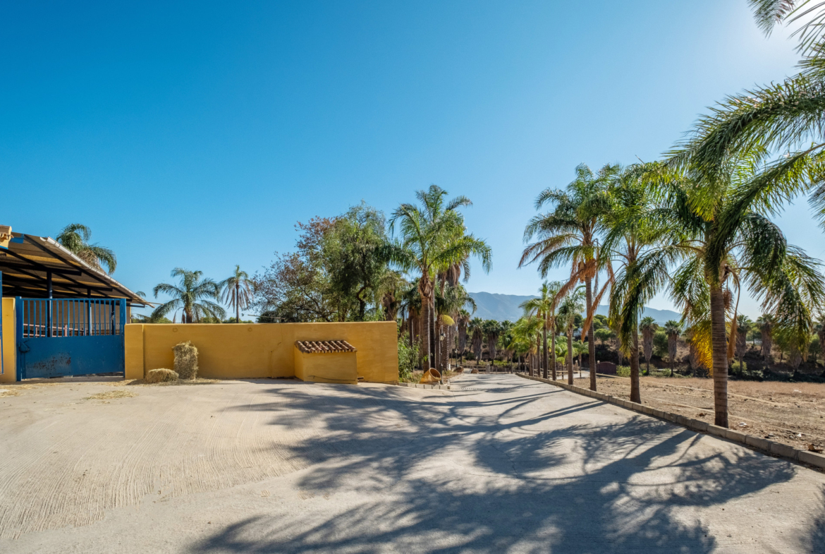 Property 1042-00007P
